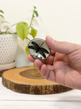 Load image into Gallery viewer, #038 - Dragonfly patterned Calming stone with green rim