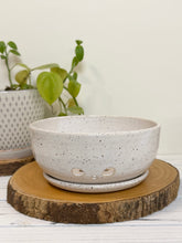 Load image into Gallery viewer, #052 - White berry bowl with dish
