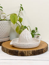 Load image into Gallery viewer, #023 - Manual citrus juicer white speckled
