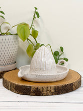 Load image into Gallery viewer, #024 - Manual citrus juicer white speckled
