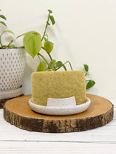 Load image into Gallery viewer, #026 - White speckled sponge holder
