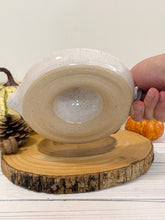 Load image into Gallery viewer, #023 - Manual citrus juicer white speckled
