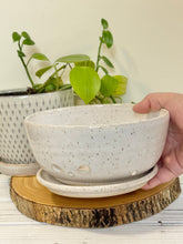 Load image into Gallery viewer, #012 - White speckled berry bowl with dish
