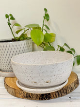 Load image into Gallery viewer, #012 - White speckled berry bowl with dish

